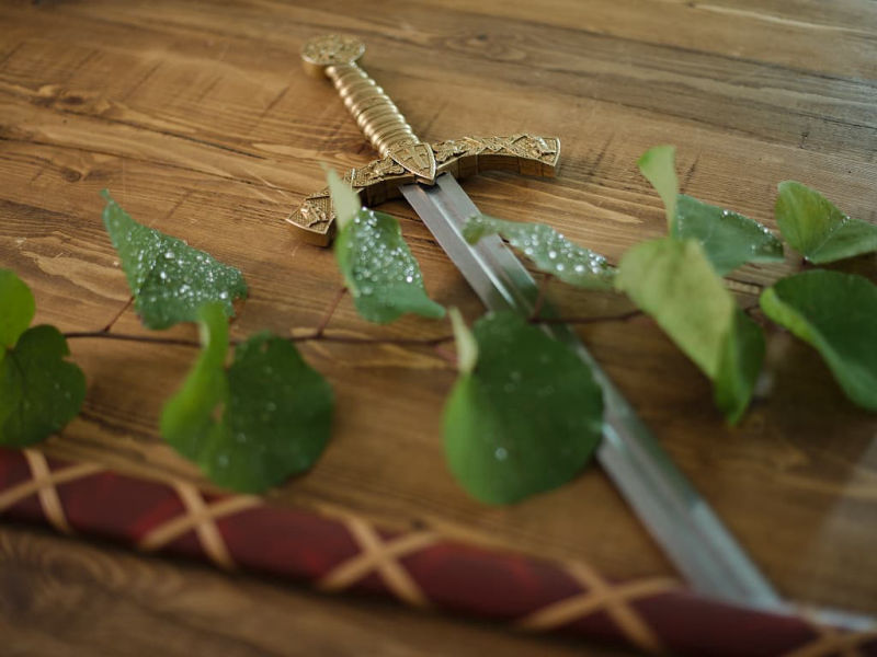 Espada templaria decorativa con vaina roja trenzada, colocada sobre una mesa de madera decorada con vegetación y gotas de rocío. Espada templaria decorativa con vaina roja trenzada, colocada sobre una mesa de madera decorada con vegetación y gotas de rocío.