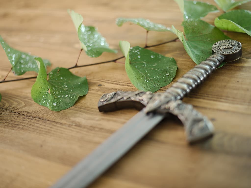 Épée templière de décoration avec fourreau noir, posée sur un table en bois décorée de végétation avec goutelettes de rosée Épée templière de décoration avec fourreau noir, posée sur un table en bois décorée de végétation avec goutelettes de rosée